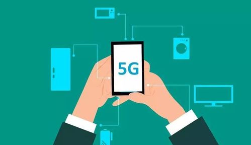 三彩家科技 借力信息技術(shù)咨詢(xún)，賦能生活服務(wù)行業(yè)降本增效